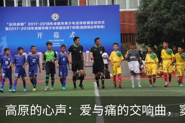 高原的心声：爱与痛的交响曲，窦唯的复杂故事
